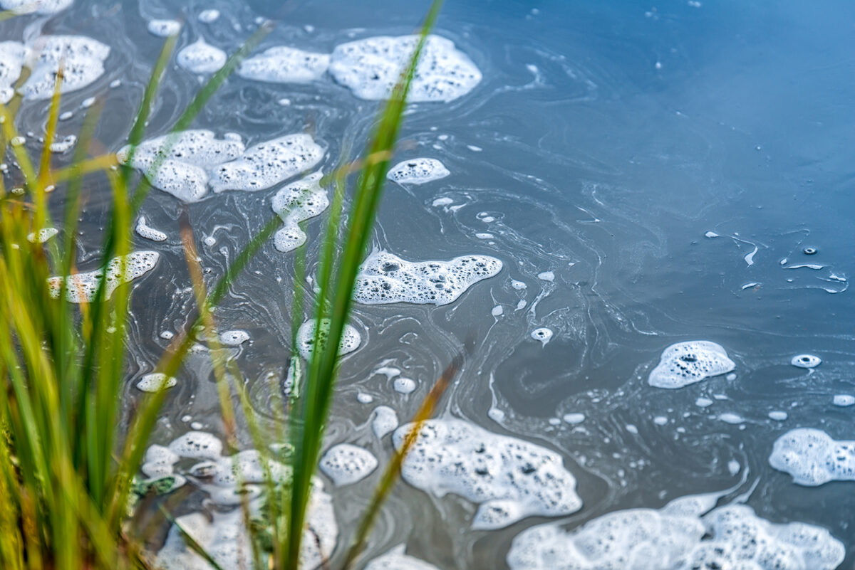 Trifluoroacetic Acid (TFA): The Ultra-Short-Chain PFAS
